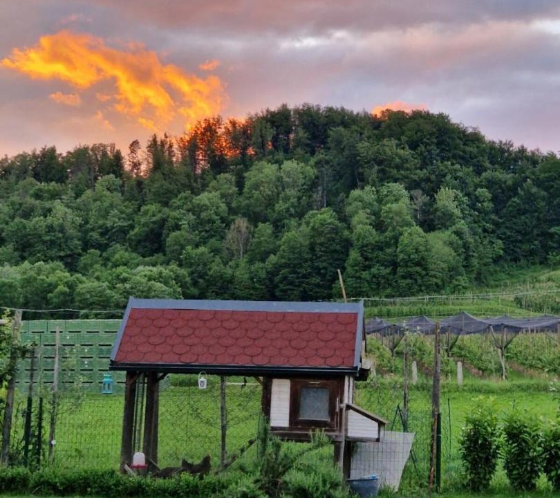 Photo of Others in Kamnik