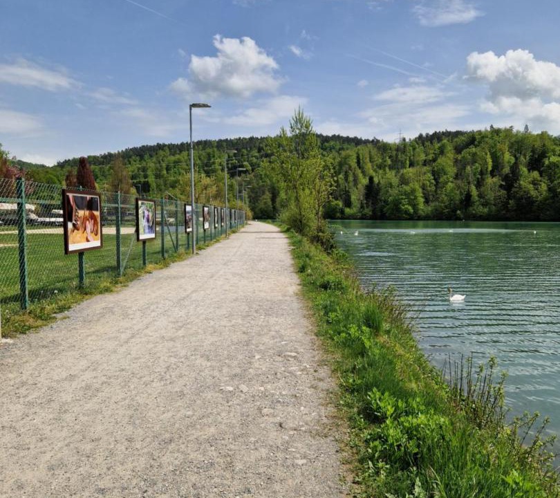 Photo of Others in Medvode