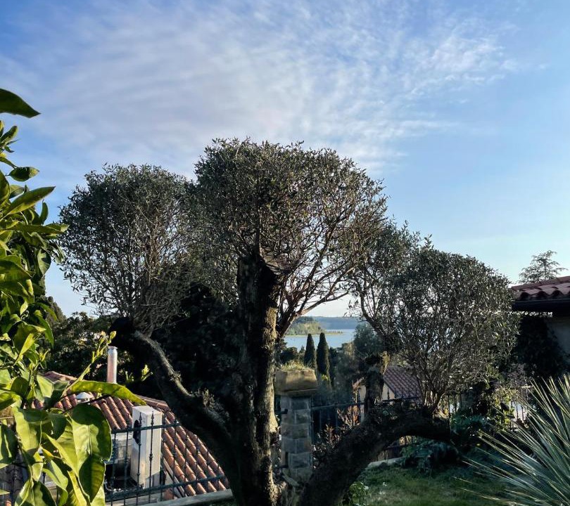 Photo of Others in Portoroz