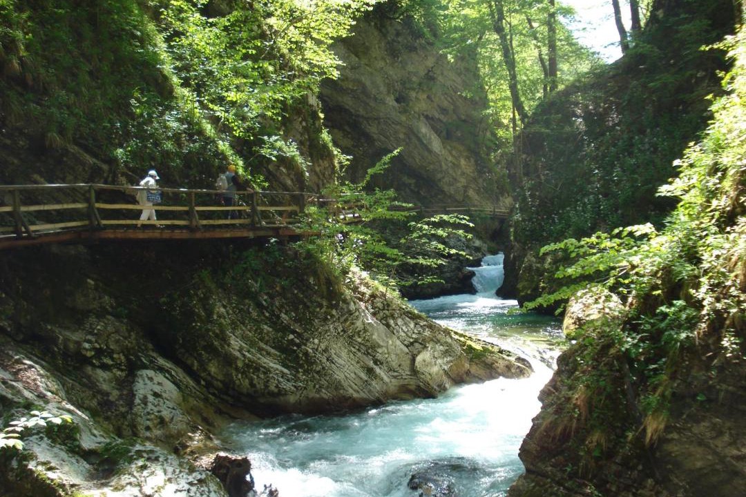 Photo of Others in Bled