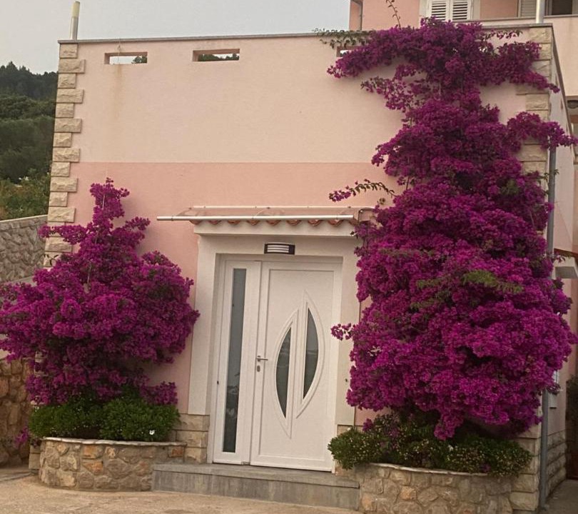 Photo of Others in Miholascica