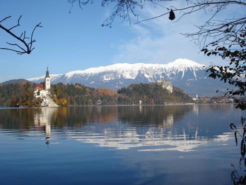Photo of Others in Bled
