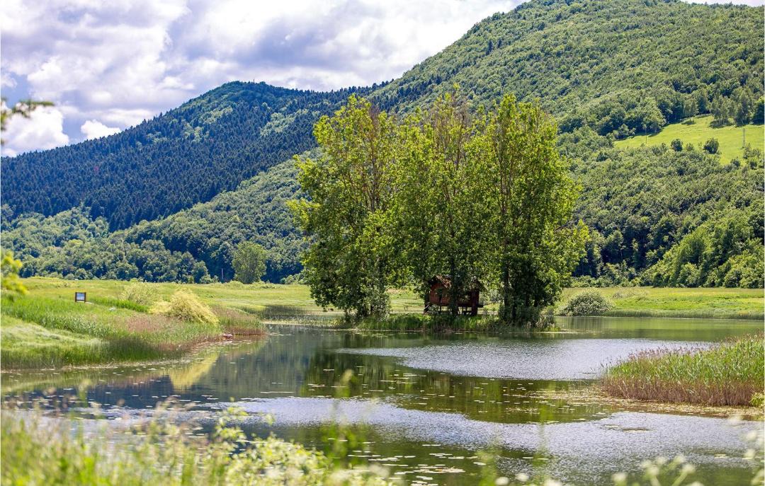 Photo of Others in Rakovica