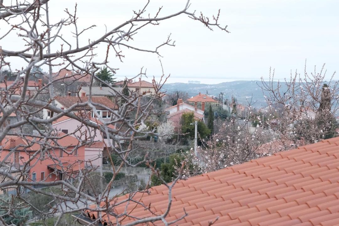 Photo of Others in Koper
