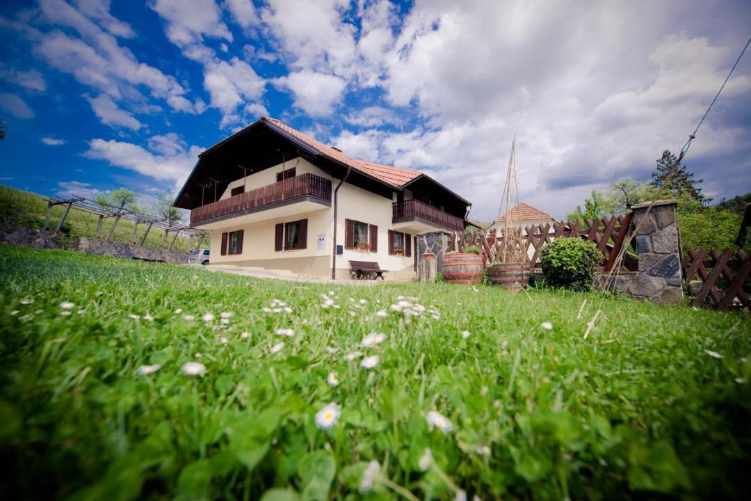 Photo of Others in Mozirje