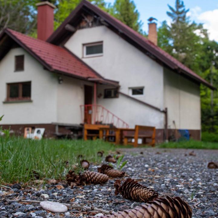 Photo of Others in Hocko Pohorje