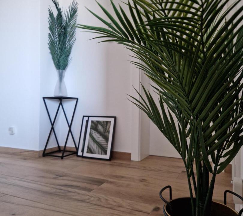 Photo of Livingroom in Privlaka