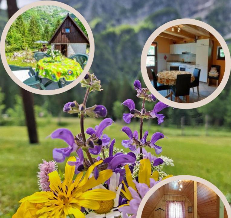Photo of Others in Bovec