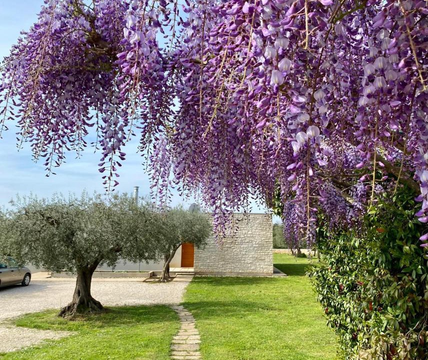 Photo of Others in Rovinj