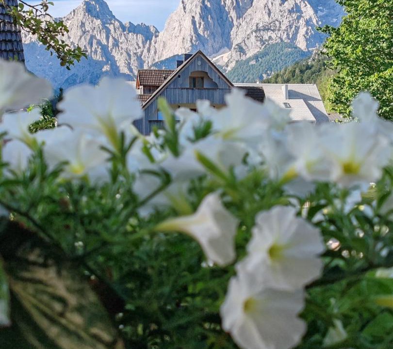 Photo of Others in Kranjska Gora