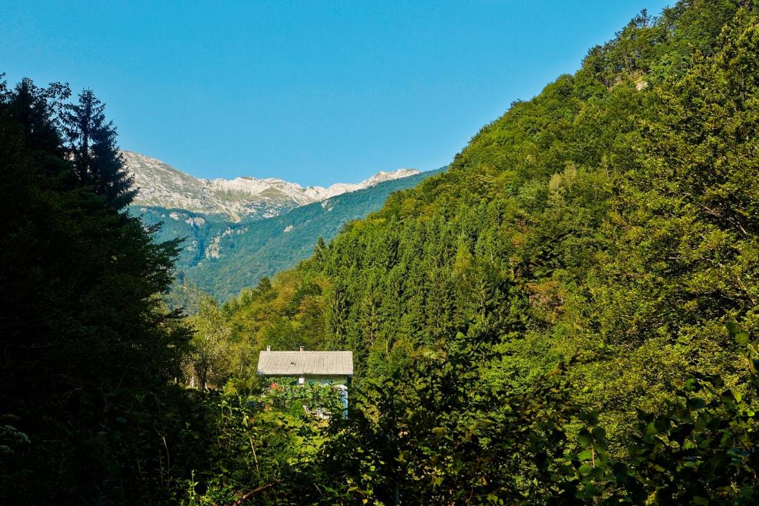 Photo of Others in Tolmin