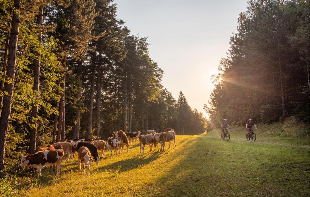 Photo of Others in Hocko Pohorje