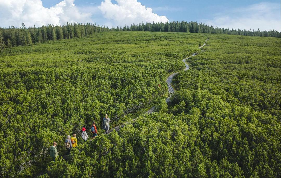 Photo of Others in Hocko Pohorje