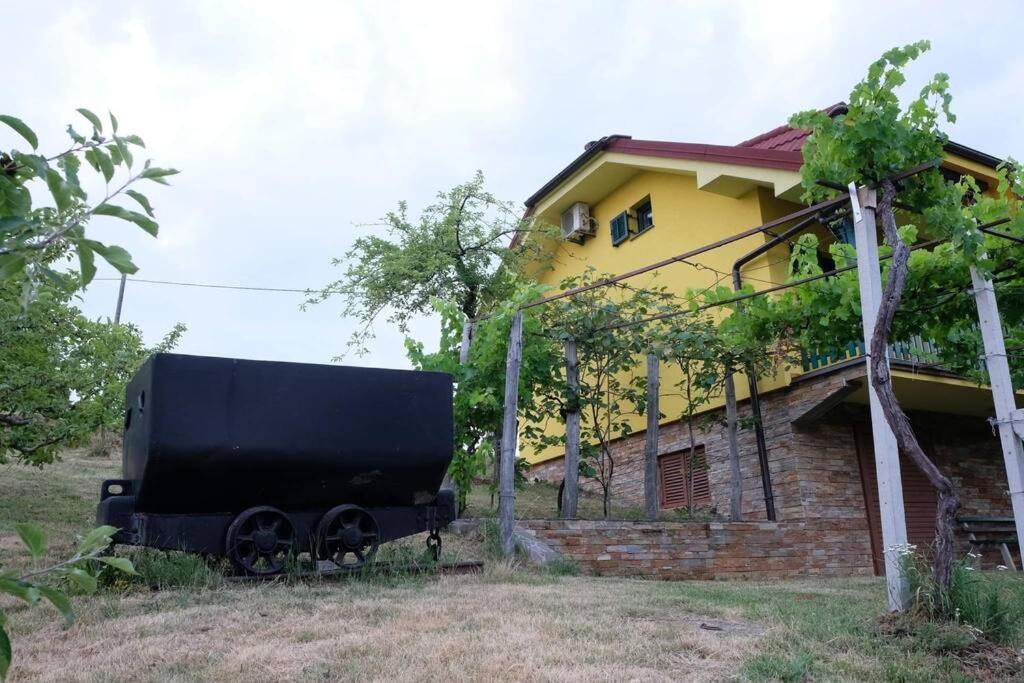 Photo of Others in Krsko
