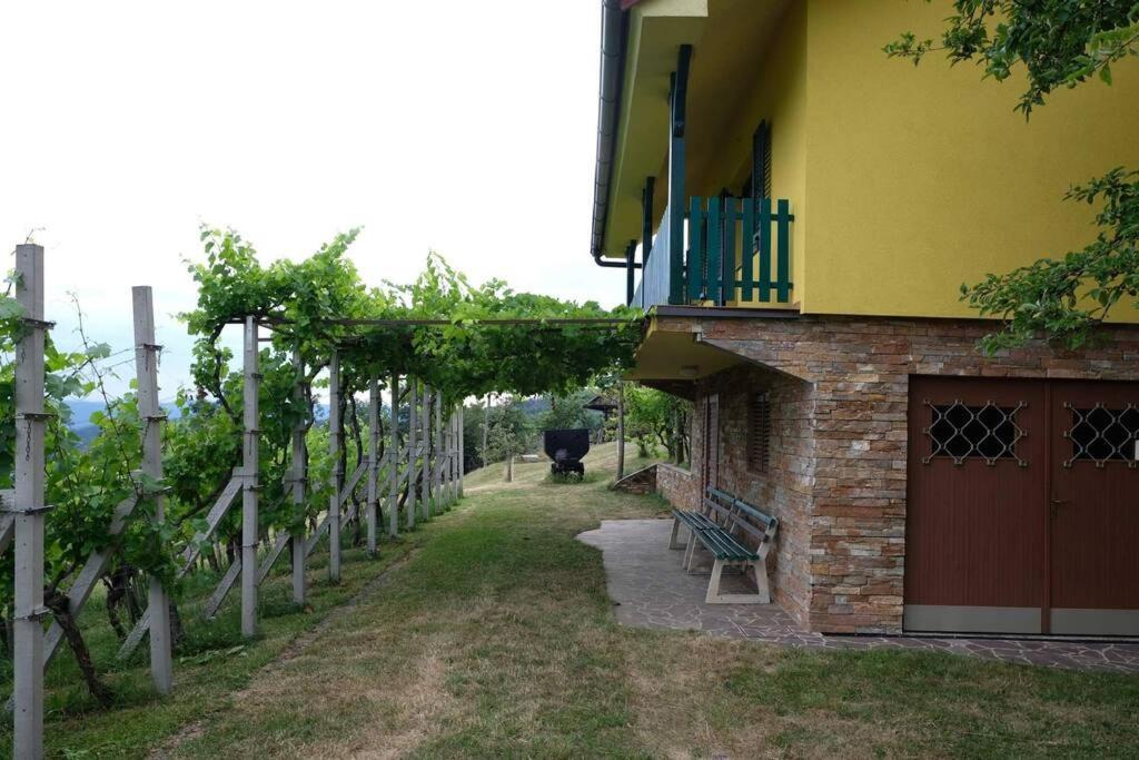 Photo of Others in Krsko