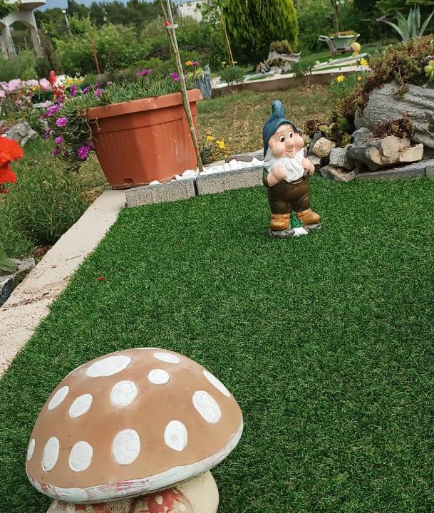 Photo of Others in Gradina