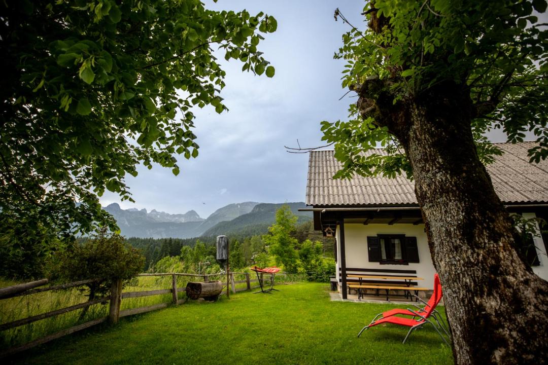 Photo of Others in Studor