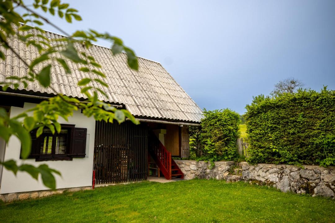 Photo of Buildings in Studor