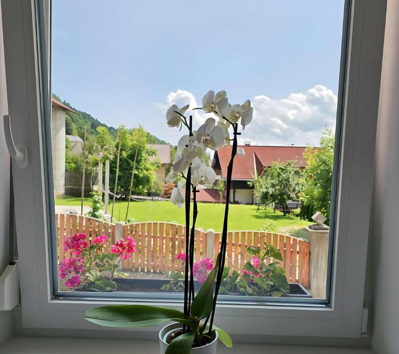 Photo of Others in Jesenice