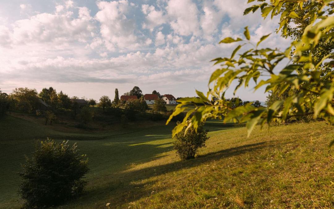Photo of Others in Brezice