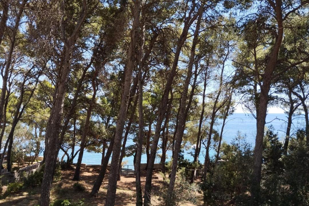 Photo of Others in Ivan Dolac