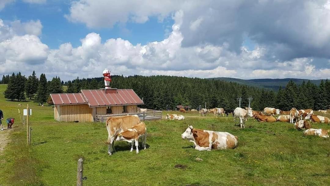 Photo of Others in Zrece