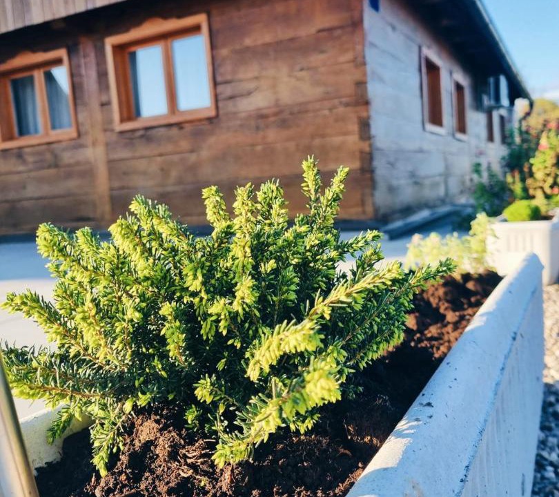 Photo of Others in Krnjak