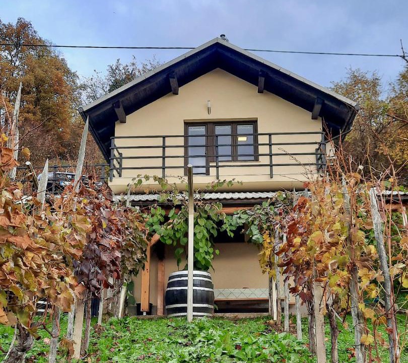 Photo of Buildings in Dolenjske Toplice