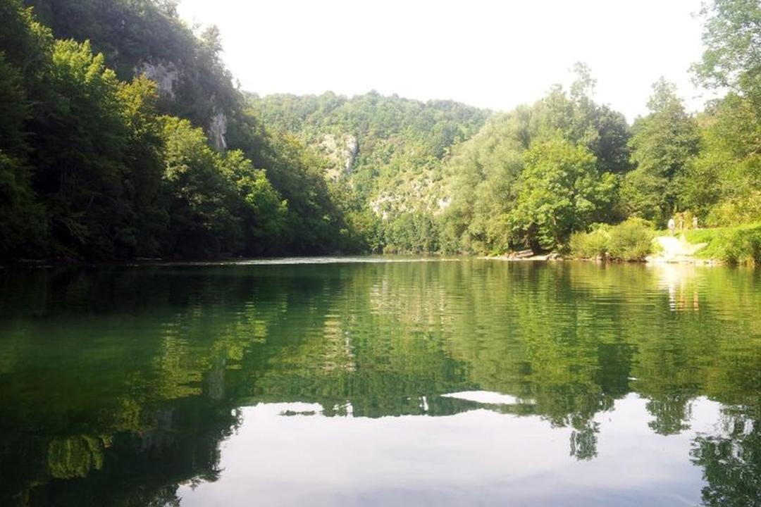 Photo of Others in Netretic