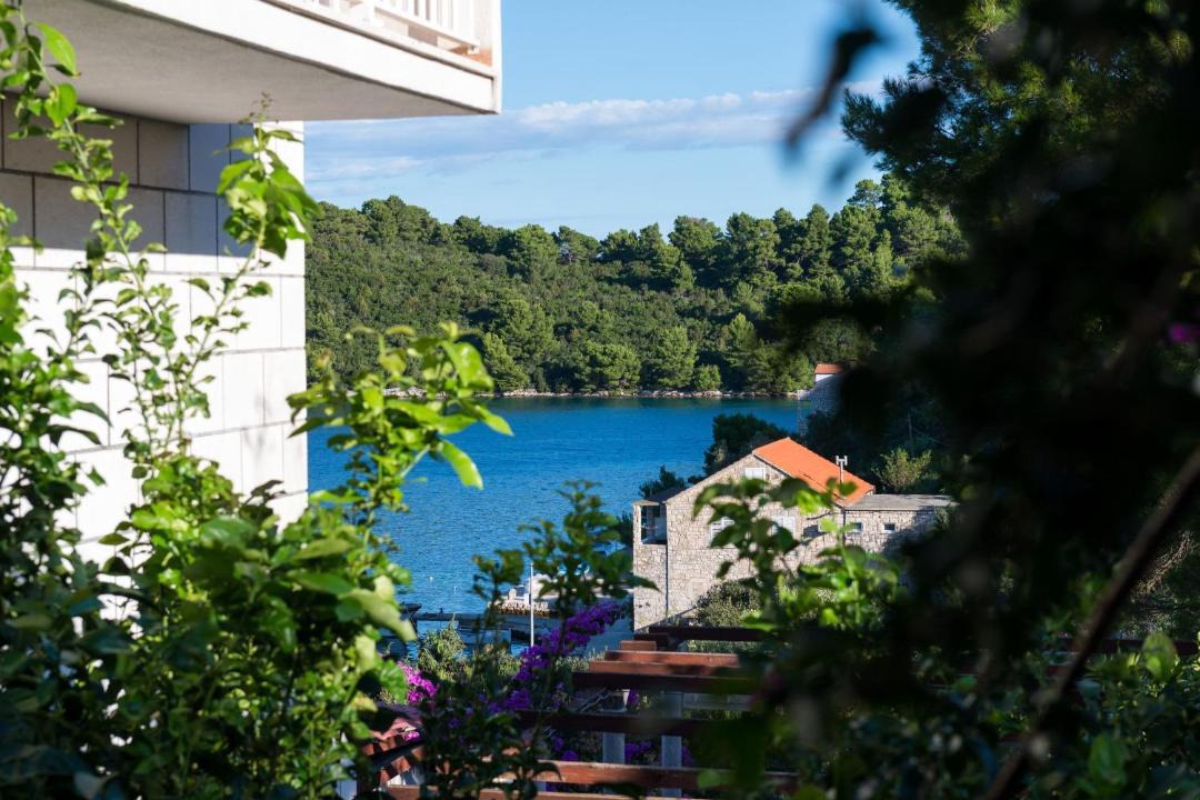 Photo of Others in Pomena