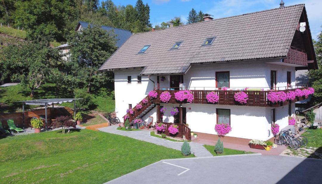 Photo of Others in Bohinj