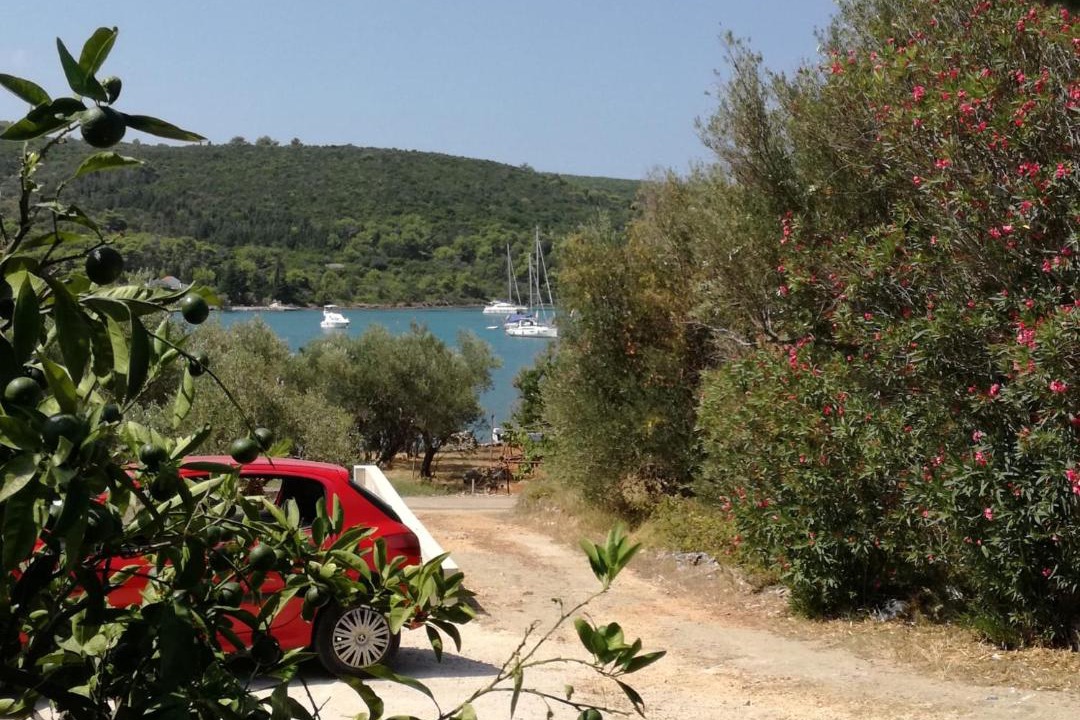 Photo of Others in Brbinj