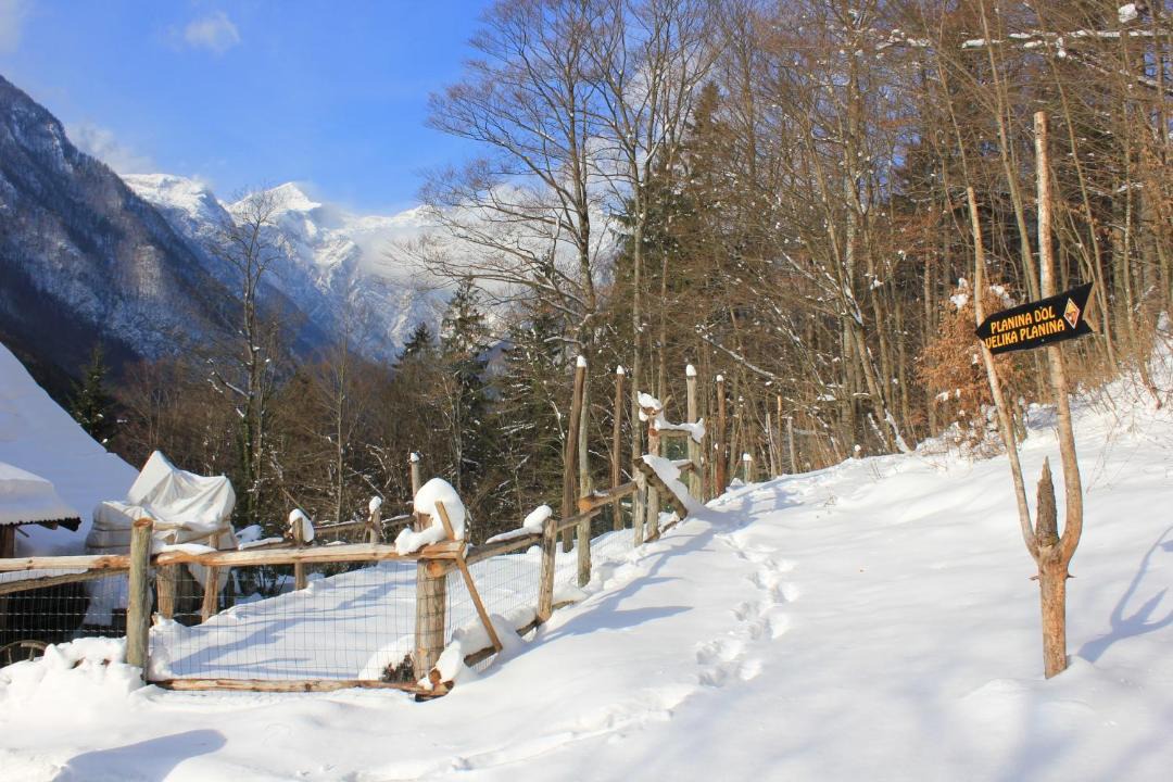 Photo of Others in Stahovica