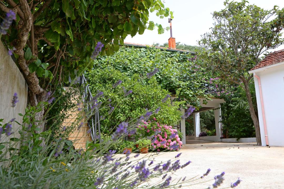 Photo of Others in Bibinje