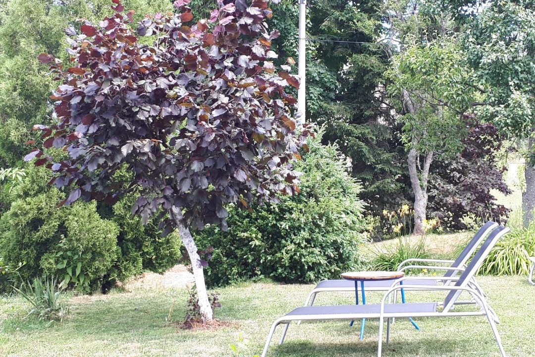 Photo of Others in Jezerce