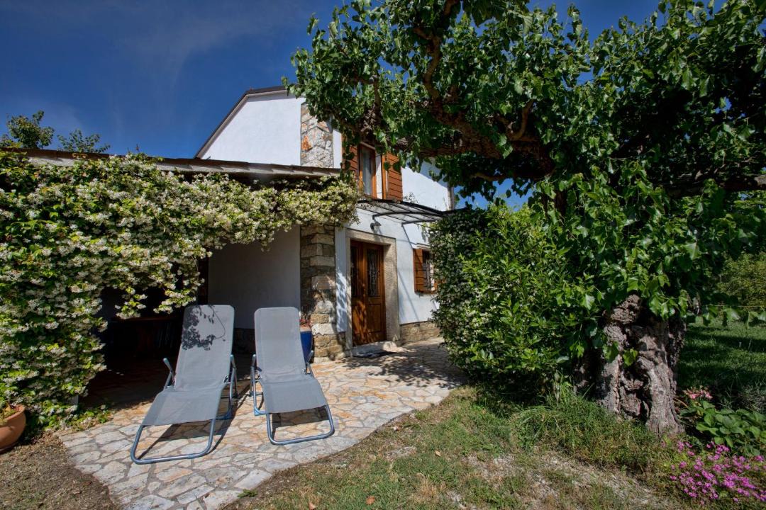 Photo of Others in Piran