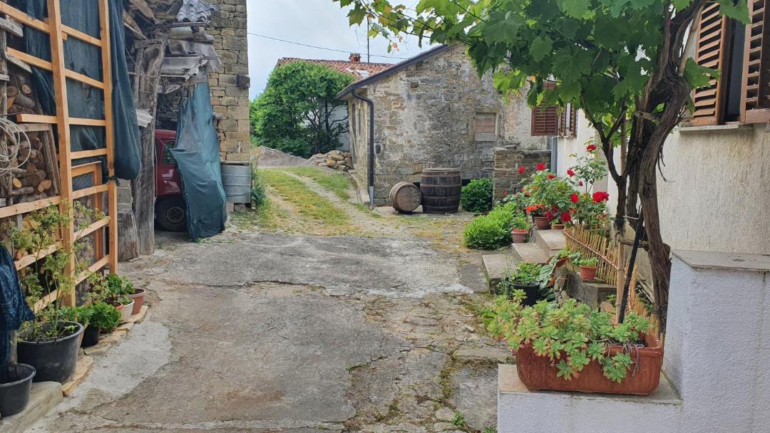 Photo of Others in Sveti Bartol