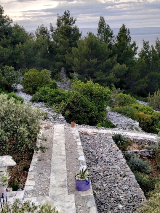 Photo of Others in Vela Luka