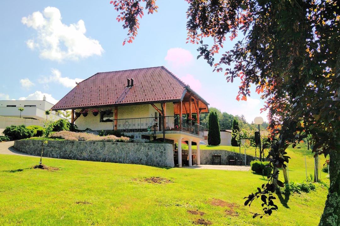 Photo of Buildings in Vojnik