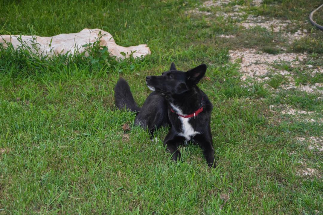 Photo of Others in Sveti Filip i Jakov