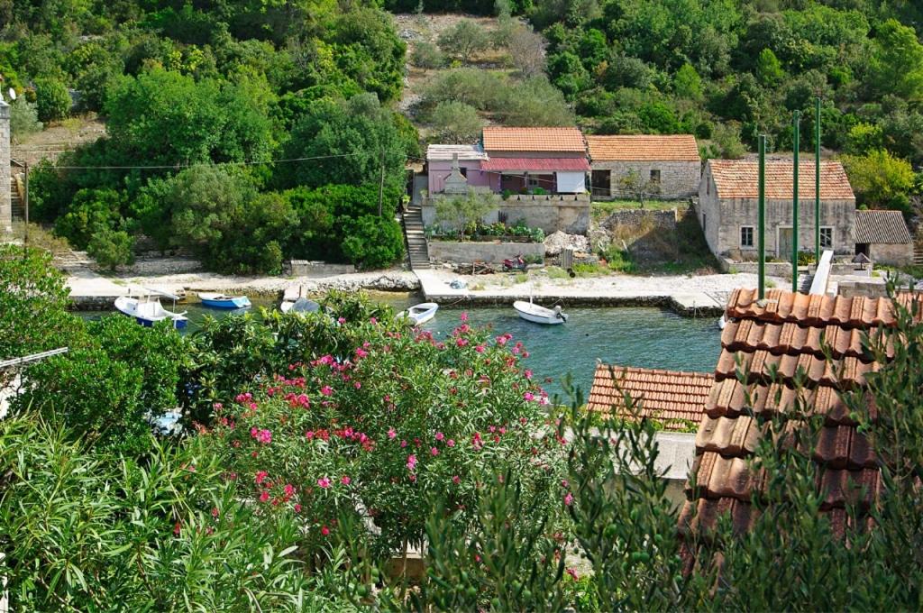 Photo of Others in Vela Luka