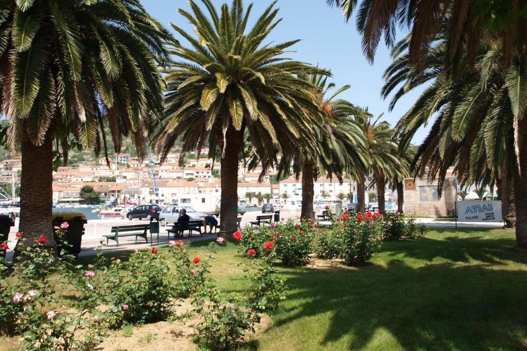 Photo of Others in Vela Luka