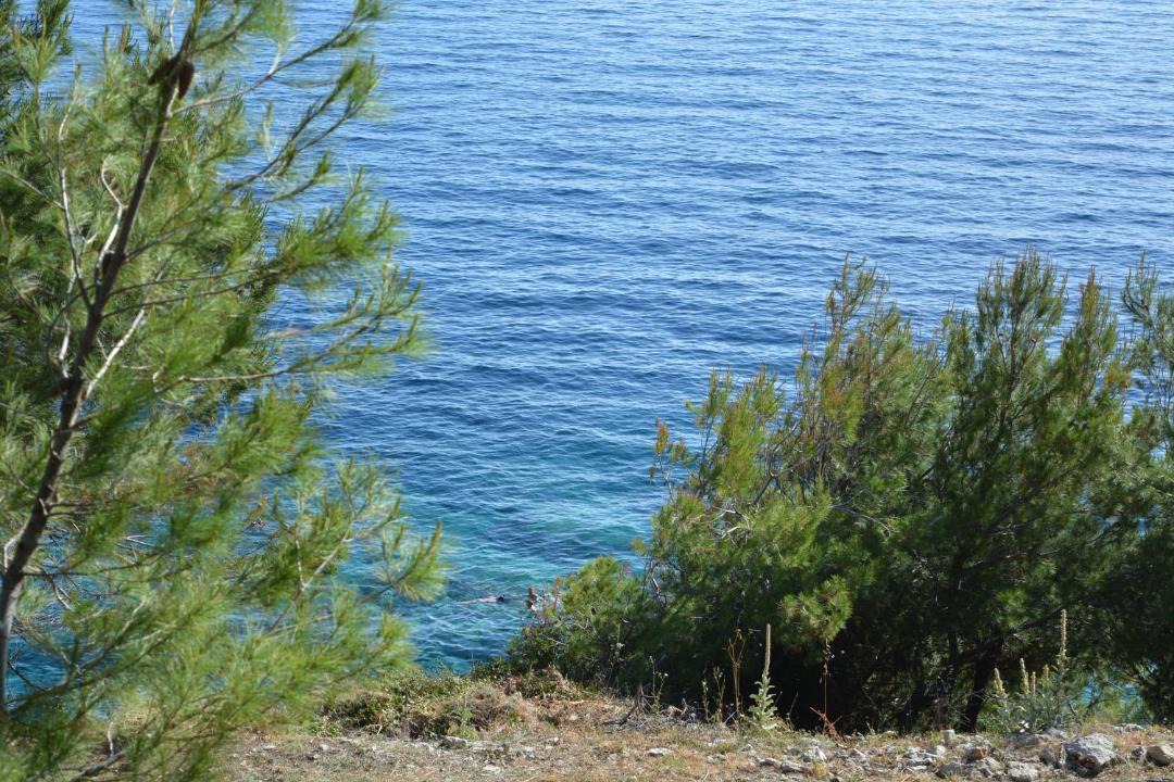Photo of Others in Mljet
