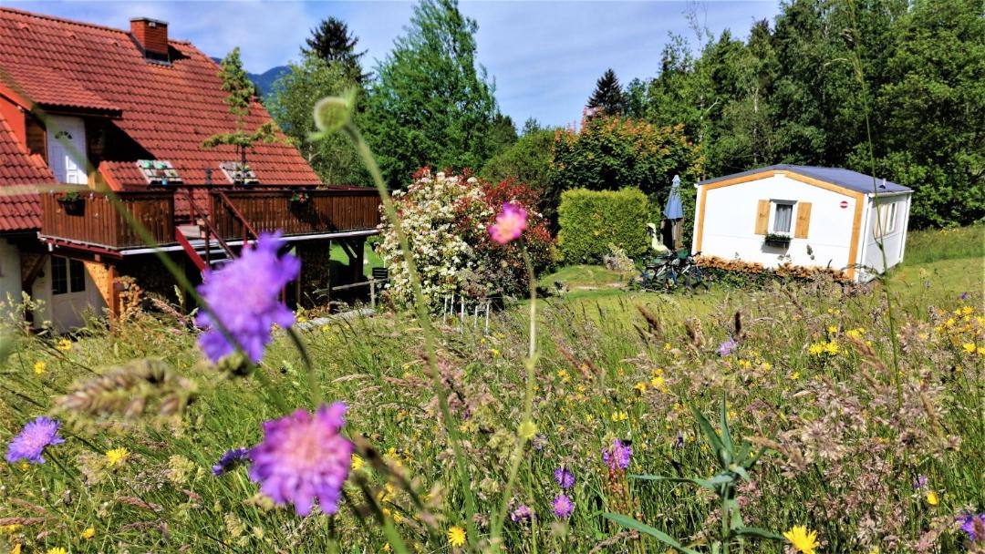Photo of Others in Slovenj Gradec