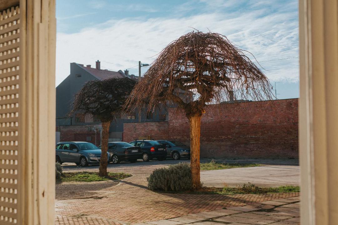 Photo of Others in Osijek