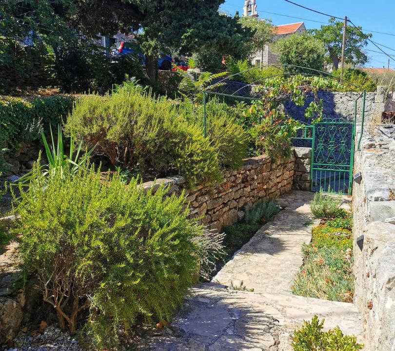 Photo of Others in Vrboska