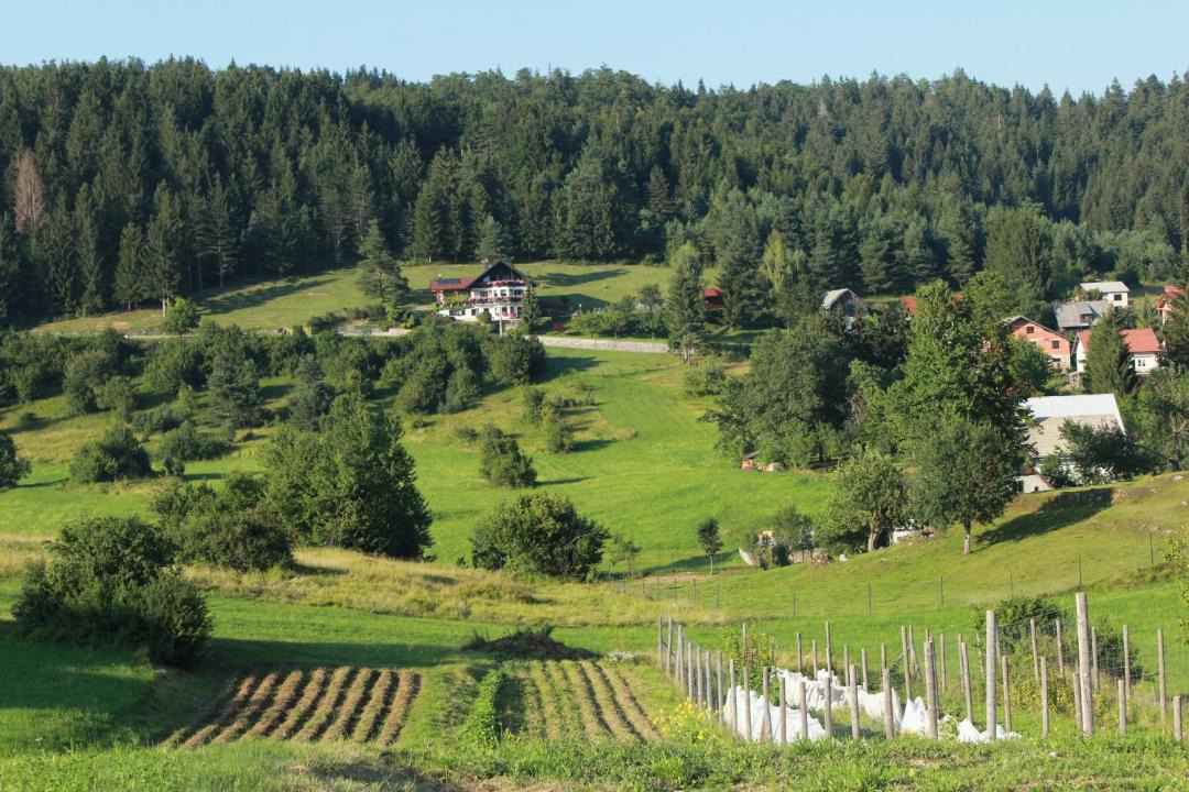 Photo of Others in Prezid