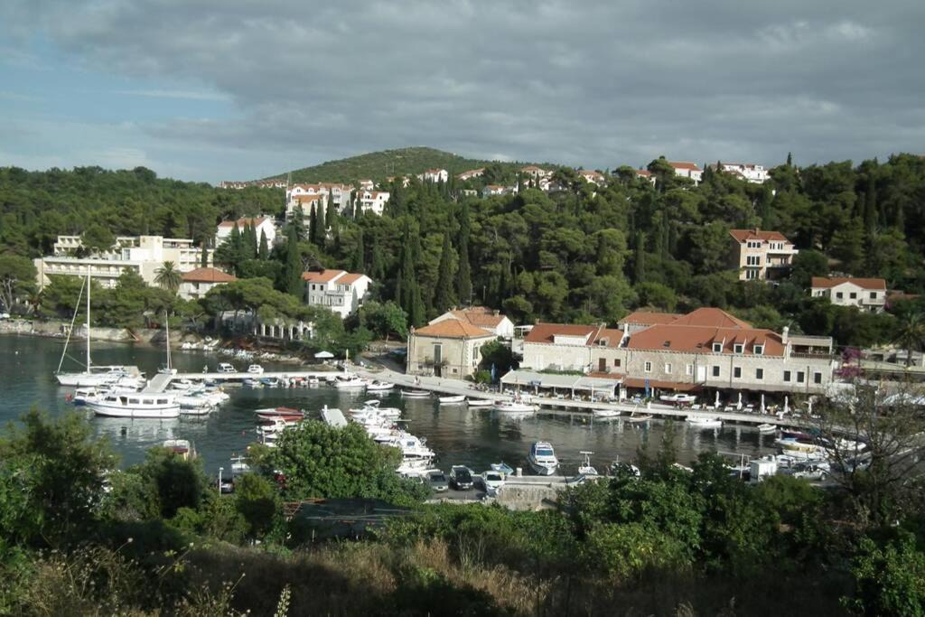 Photo of Others in Cavtat Old Town