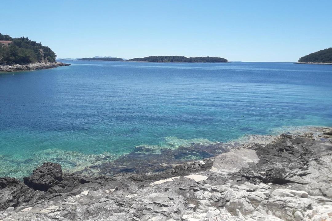 Photo of Others in Vela Luka