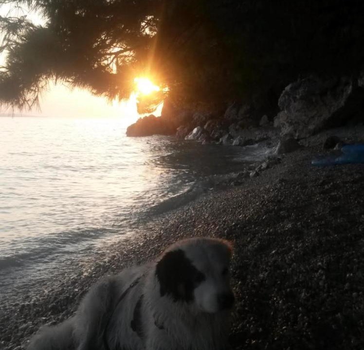 Photo of Others in Batinici